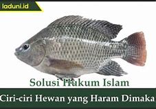 Hewan Apa Saja Yang Haram Dimakan